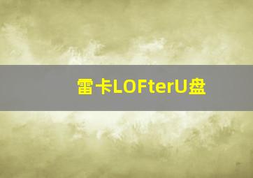 雷卡LOFterU盘