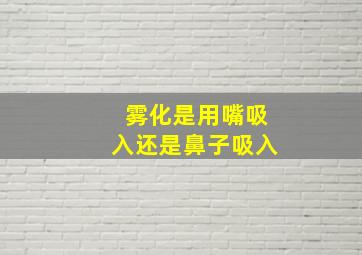 雾化是用嘴吸入还是鼻子吸入