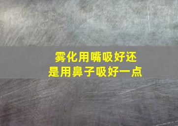 雾化用嘴吸好还是用鼻子吸好一点