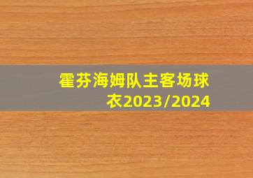 霍芬海姆队主客场球衣2023/2024