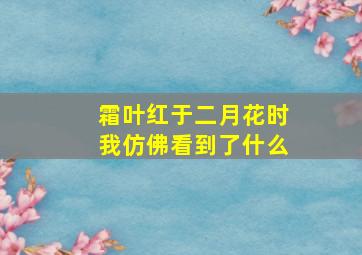 霜叶红于二月花时我仿佛看到了什么