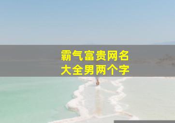 霸气富贵网名大全男两个字