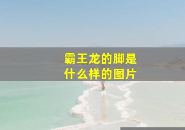 霸王龙的脚是什么样的图片