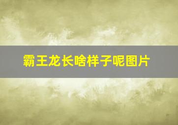 霸王龙长啥样子呢图片