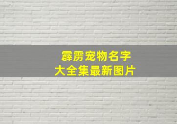 霹雳宠物名字大全集最新图片