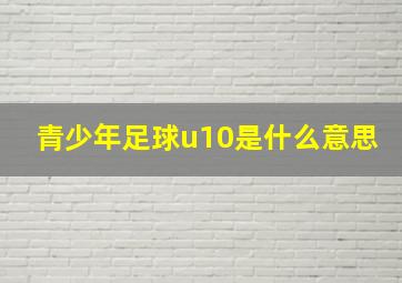 青少年足球u10是什么意思