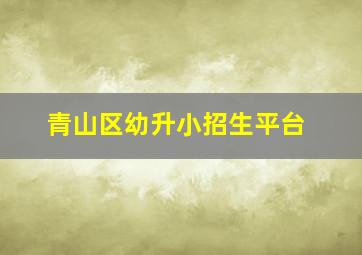 青山区幼升小招生平台