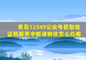 青岛12345公众号获取验证码服务中断请稍侯怎么办呢