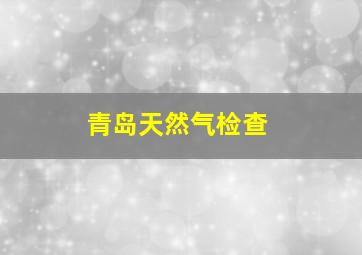 青岛天然气检查