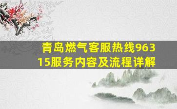 青岛燃气客服热线96315服务内容及流程详解