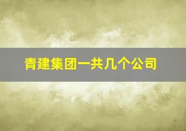 青建集团一共几个公司