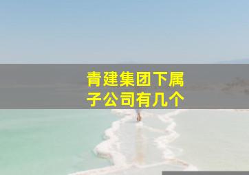 青建集团下属子公司有几个