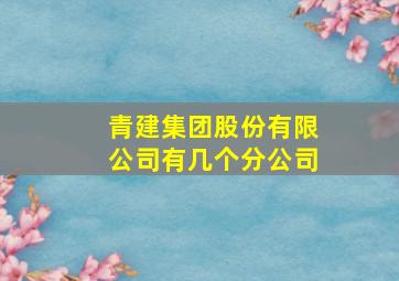 青建集团股份有限公司有几个分公司