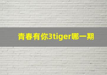 青春有你3tiger哪一期