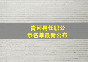 青河县任职公示名单最新公布