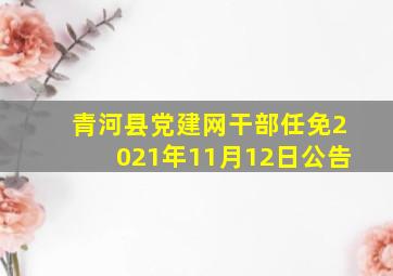 青河县党建网干部任免2021年11月12日公告