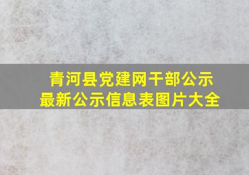 青河县党建网干部公示最新公示信息表图片大全