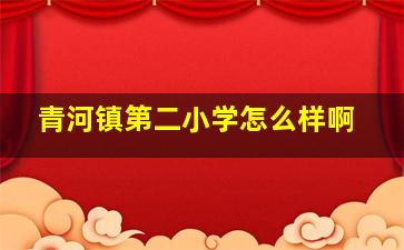 青河镇第二小学怎么样啊