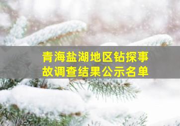 青海盐湖地区钻探事故调查结果公示名单