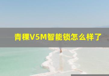 青稞V5M智能锁怎么样了