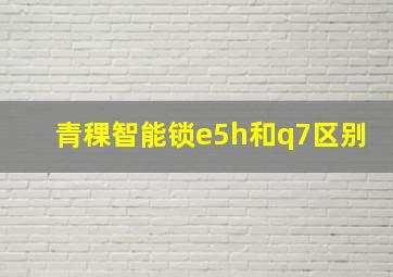 青稞智能锁e5h和q7区别