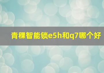 青稞智能锁e5h和q7哪个好