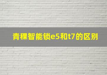 青稞智能锁e5和t7的区别