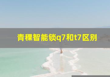 青稞智能锁q7和t7区别