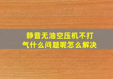 静音无油空压机不打气什么问题呢怎么解决