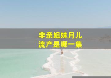 非亲姐妹月儿流产是哪一集