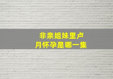 非亲姐妹里卢月怀孕是哪一集