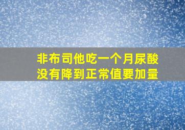 非布司他吃一个月尿酸没有降到正常值要加量