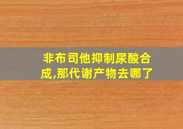 非布司他抑制尿酸合成,那代谢产物去哪了