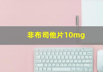 非布司他片10mg