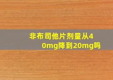 非布司他片剂量从40mg降到20mg吗