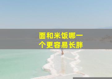 面和米饭哪一个更容易长胖