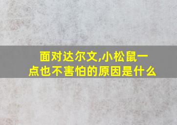 面对达尔文,小松鼠一点也不害怕的原因是什么