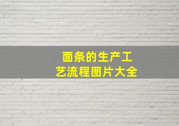 面条的生产工艺流程图片大全