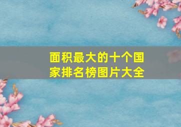 面积最大的十个国家排名榜图片大全