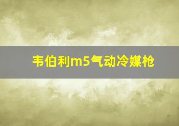 韦伯利m5气动冷媒枪