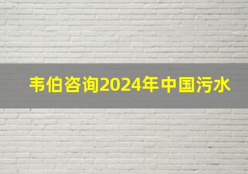 韦伯咨询2024年中国污水