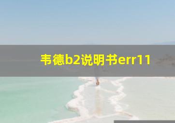 韦德b2说明书err11