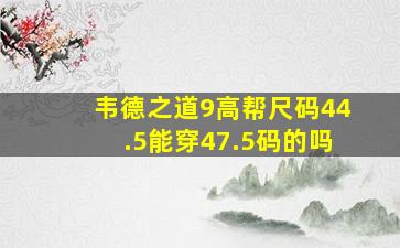 韦德之道9高帮尺码44.5能穿47.5码的吗