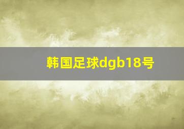 韩国足球dgb18号