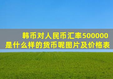 韩币对人民币汇率500000是什么样的货币呢图片及价格表