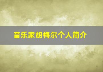 音乐家胡梅尔个人简介