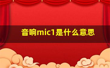 音响mic1是什么意思