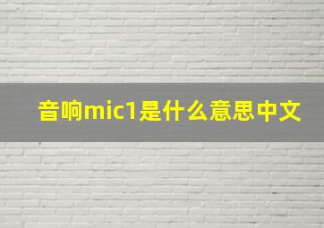 音响mic1是什么意思中文