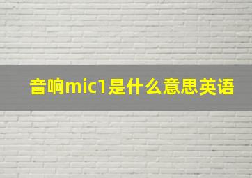 音响mic1是什么意思英语