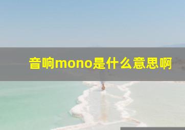 音响mono是什么意思啊